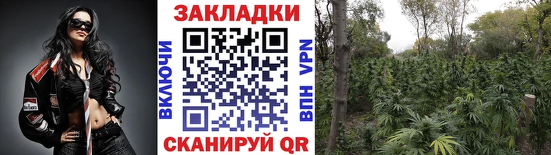 Все наркотики Новокубанск ГАШИШ  СК  Меф  Кокаин 