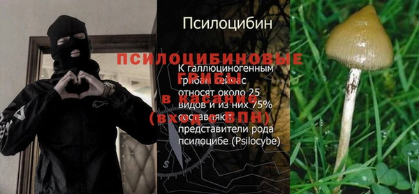амф Абаза