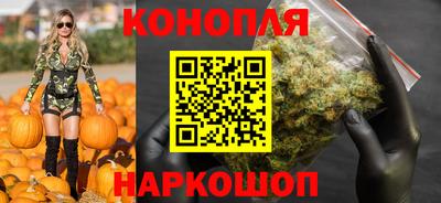 шишки Нальчик