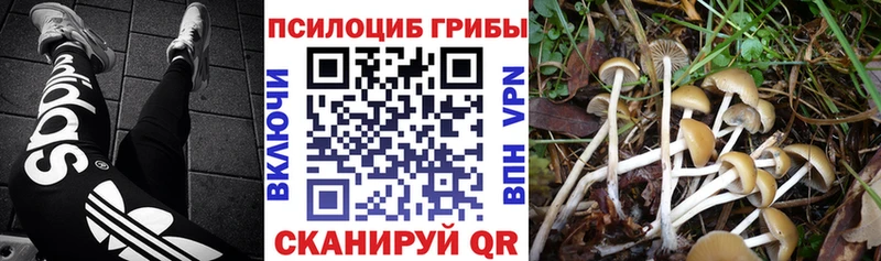 shop как зайти  Новокубанск  Галлюциногенные грибы мухоморы  купить закладку 